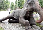 Raju before rescue