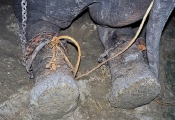Shackles on Raju