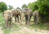 Raju with new family