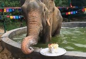 Raju eating his 1st Anniversary cake
